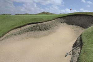 “Life! By Design: 6 Steps to an Extraordinary You.” By Laura Morton, Tom Ferry (Self-Help)