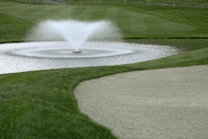 “Conquering Fear” By Harold Kushner (Self-Help)