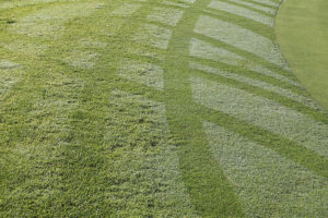 “Dealing With Difficult People” By Roy C Lilley (Self-Help. Business & Career)