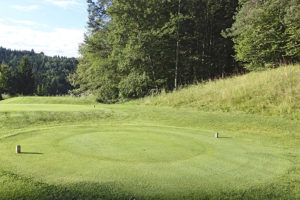 “He’s Just Not That Into You: The No-Excuses Truth to Understanding Guys” By David DeSteno, Piercarlo Valdesolo (Self-Help)