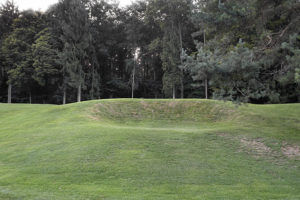 “Reviving Ophelia” By Mary Bray Pipher (Self-Help)