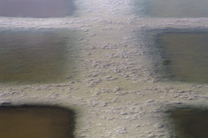 Salt Fields Abigail O Brien