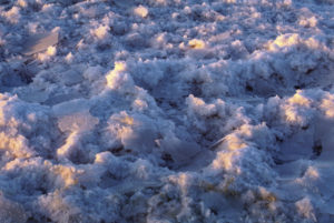 Salt Fields Abigail O Brien