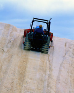Salt Fields Abigail O Brien
