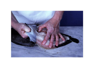 How to Butterfly a Leg of Lamb 2002