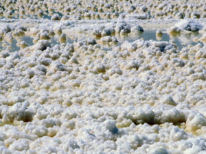 Salt-Fields 2