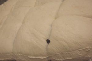 Janet Mularney, ed 1/3 lambdachrome print framed under Museum Glass, 88X120 cms