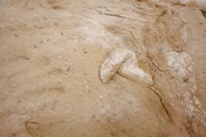 Nan Goldin, ed 1/3 lambdachrome print framed under Museum Glass, 88X120 cms