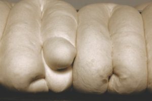 Paula Rego, ed 1/3 lambdachrome print framed under Museum Glass, 88X120 cms