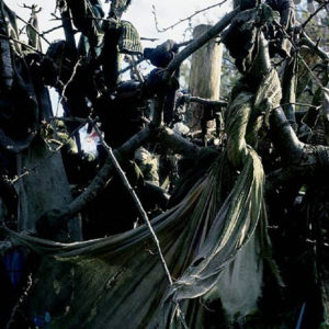 The Rag Tree Series