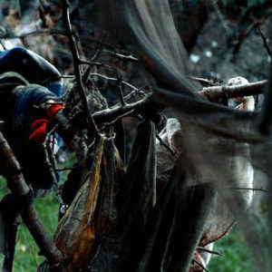 The Rag Tree Series
