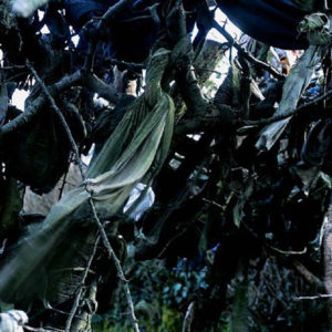 The Rag Tree Series
