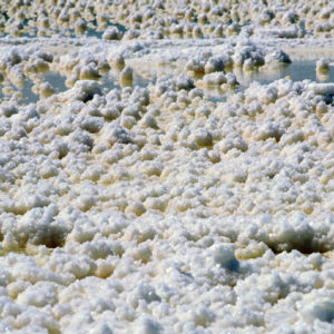 Salt Fields