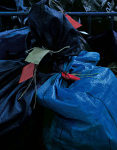 ‘Violets’ 120x100cm cibachrome colour print mounted on aluminium under acrylic glass. Collection of Contemporary Art VOLPINUM, Austria.